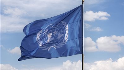 الأمم المتحدة: سرطان الاحتيال الإلكتروني ينتشر عالميًا بمليارات الدولارات