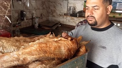 ضبط 91 طن مصنعات لحوم ودواجن وأسماك مملحة غير صالحة للاستهلاك 