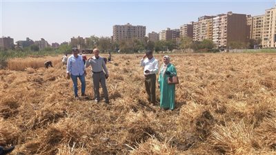 افتتاح موسم حصاد القمح في مزرعة مدرسة الفيوم الثانوية الزراعية العسكري