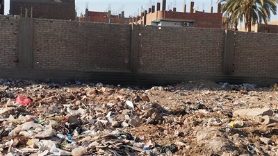 الحشرات تهاجمنا.. أهالي أبنود بقنا يستغيثون من انتشار القمامة حول مجمع المدارس