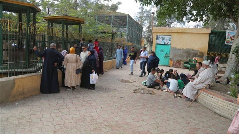 اسرة من أهالى كفرالشيخ