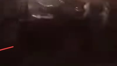 أوقاف الشرقية تكشف حقيقة إقامة معرض مفروشات داخل مسجد بقرية كفر هربيط