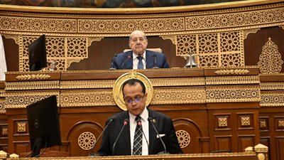 برلماني: الانتقال للصناعة الخضراء