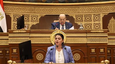 النائبة هند جوزيف : شركات قطاع الأعمال تمتلك طاقات يجب استغلالها 