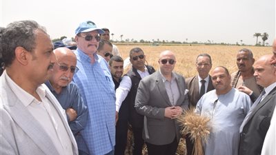 محافظ بني سويف يوجه بتيسير كافة الإجراءات أمام موردي الأقماح 