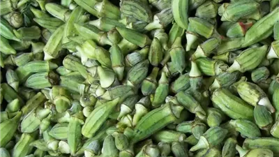 استمرار ارتفاع أسعار البامية في الأسواق.. والشعبة تكشف موعد الانخفاض 