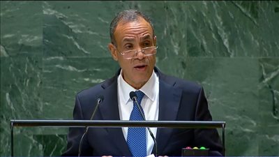 وزير الخارجية: نبذل جهودا حثيثة لوقف إطلاق النار فى غزة