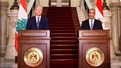 مصر تؤكد دعمها الكامل للبنان وتدين اعتداءات إسرائيل على الأراضي اللبنانية