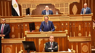 استعراض خطة استثمارات الدولة في شركات قطاع الأعمال العام أمام مجلس الشيوخ