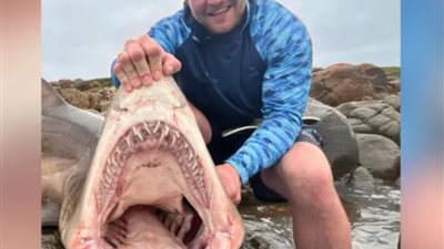 العثور على رفات بشرية قرب موقع هجوم أسماك القرش في إسرائيل