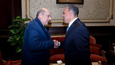 وزير الخارجية يشيد بدور لجنتي حقوق الإنسان في مجلسي النواب والشيوخ
