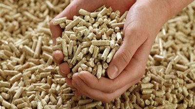 الزراعة : انخفاض أسعار الأعلاف أكثر من 40% خلال آخر 6 أشهر  