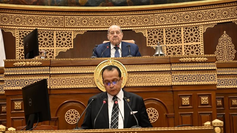 النائب خالد أبو الوفا