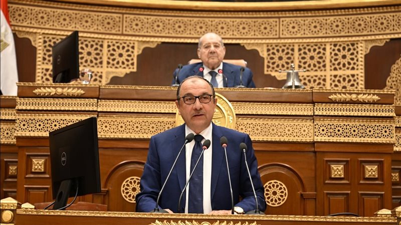 وزير قطاع الأعمال