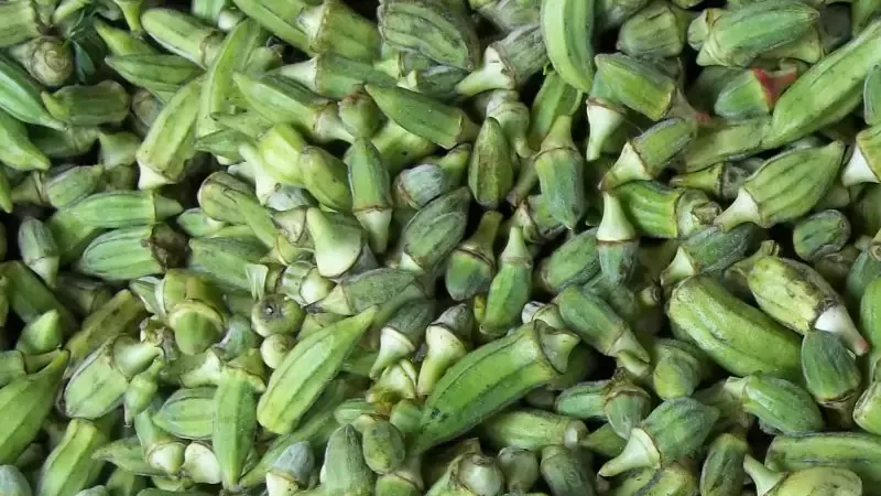 ارتفاع اسعار البامية
