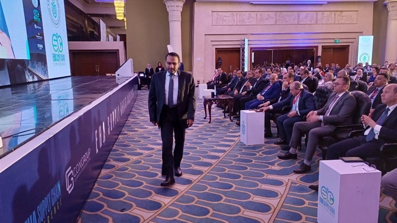 الدكتور محمد حساني