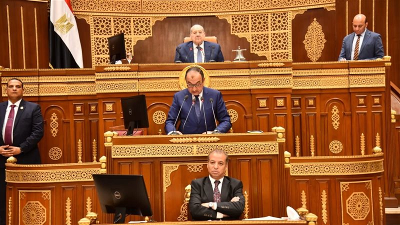 وزير قطاع الأعمال