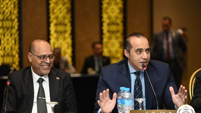  المستشار محمود فوزي