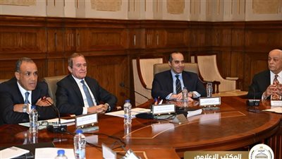 محمود فوزي: التنسيق وتقسيم الأدوار سبب نجاح مصر في عرضها أمام المجتمع الدولي