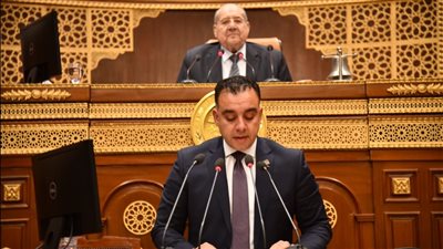 لجنة الزراعة بمجلس الشيوخ تستعرض تحديات تحقيق الأمن الغذائى 