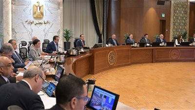 الحكومة توافق على مد العمل بتأشيرة الترانزيت 96 ساعة مجاناً