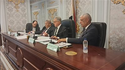 محلية النواب تُحذر من تباين إجراءات التراخيص بكفر الشيخ وتطالب بحلول عاجلة