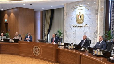 الحكومة تخصص قطعتي أرض لإقامة صوامع تخزين غلال في كفر الشيخ والمنيا