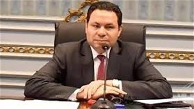 رئيس زراعة النواب: طفرة في المحاصيل الاستراتيجية بسبب تحديد أسعار التوريد