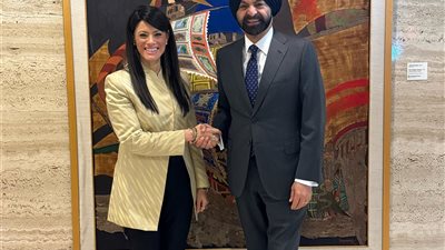 المشاط: نفذنا مبادلة ديون مع الشركاء الدوليين بقيمة 800 مليون دولار 