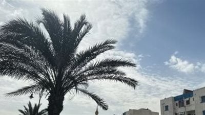  «الأرصاد»: انخفاض طفيف فى رجات الحرارة غدا الخميس