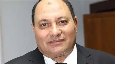 نائب وزير الزراعة: 2200 مصنع للأعلاف ومصر تحتل المقدمة في تصدير الفراولة 