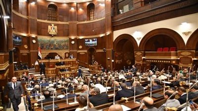 عدد مقاعد الفردي في مشروع قانون مجلس الشيوخ.. اعرف التفاصيل