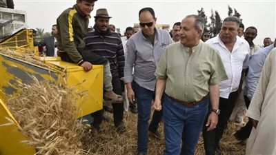 توقعات بتوريد 15 ألف طن.. محافظ بورسعيد يشهد حصاد القمح لـ 9535 فدانًا 