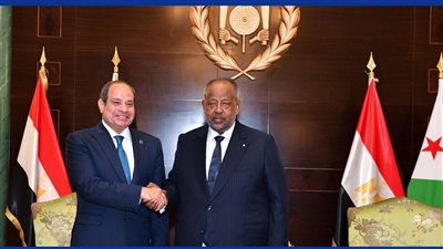 مصدر: بنك «مصر ـ جيبوتي» الجديد يستهدف تمويل عمليات الاستيراد والتصدير