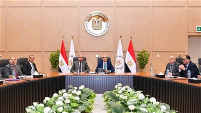 وزير الري يبحث مع محافظ المنيا حالة المنظومة المائية 
