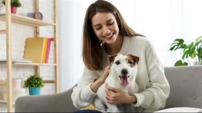 بعد قائمة محظورات الحيوانات الخطرة.. اعرف أنواع كلاب آمنة ومخلصة لك ولأسرتك