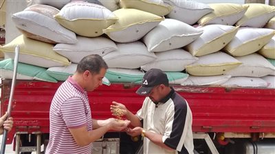 توريد ٢٠٠٠ طن من القمح فى الأسبوع الأول من موسم التوريد بالجيزة