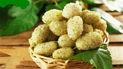 التوت الأبيض فاكهة موسمية مذهلة لصحة المرأة وبشرة أكثر إشراقًا