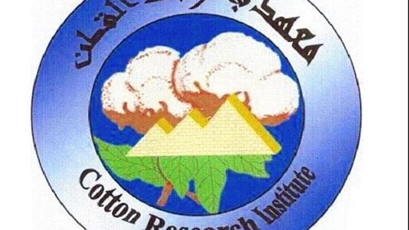 معهد بحوث القطن