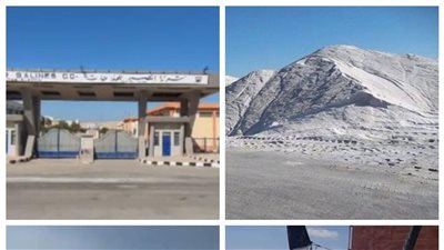 سيف فرج: سيناء مجال خصب لخلق فرص عمالة في العديد من المجالات المتعددة