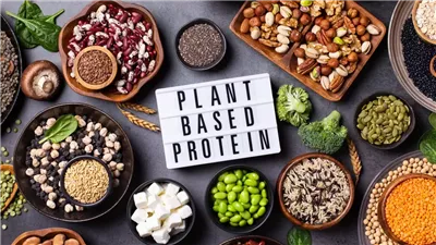 دراسة عالمية.. البروتينات النباتية تطيل العمر وتحمي من الأمراض