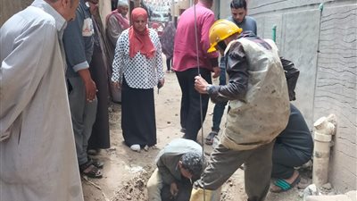 حملات مكثفة للنظافة بقرى ومدن كفرالشيخ وتطوير ميدان «أحمد زويل» بدسوق