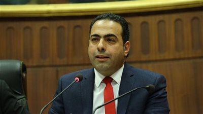 النائب محمود حسين يطالب بزيادة أسرة العناية المركزة وغرف الرعاية 