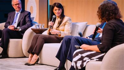 عضو الشيوخ: مصر ترسخ مكانتها الاقتصادية دوليًا عبر اجتماعات الربيع 