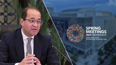 وزير المالية: مصر حريصة على تعزيز التعاون التجاري والاستثماري مع بولندا