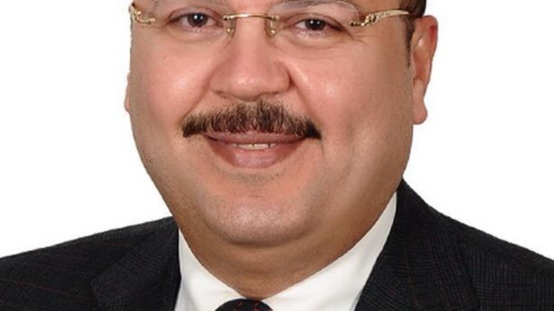 ميشيل الجمل