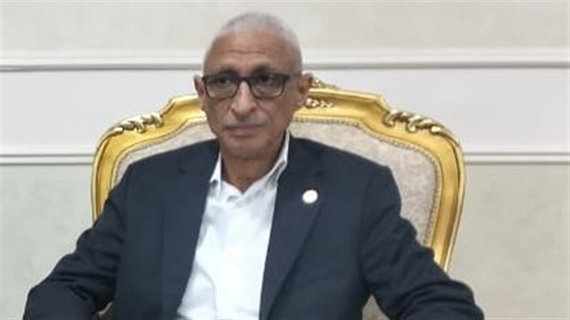 محافظ شمال سيناء