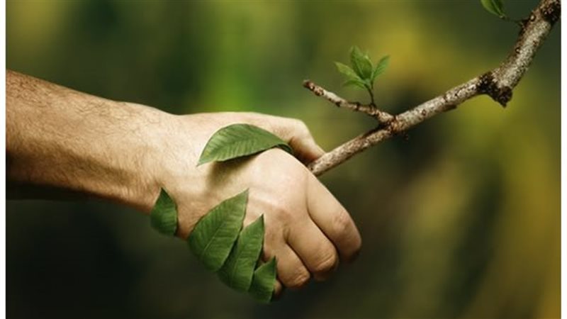 حياة صديقة للبيئة