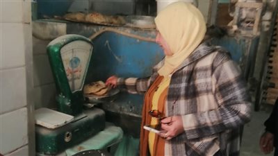 ضبط 45 كرتونة رنجة مجهولة المصدر وتحرير 210 محضر تمويني بالمنوفية