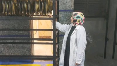 ضبط 11 طن لحوم ودواجن وأسماك مجمدة ومدخنة غير صالحة للطعام بالشرقية